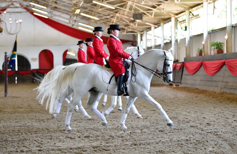 Experience the SA Lipizzaners at Nampo Cape