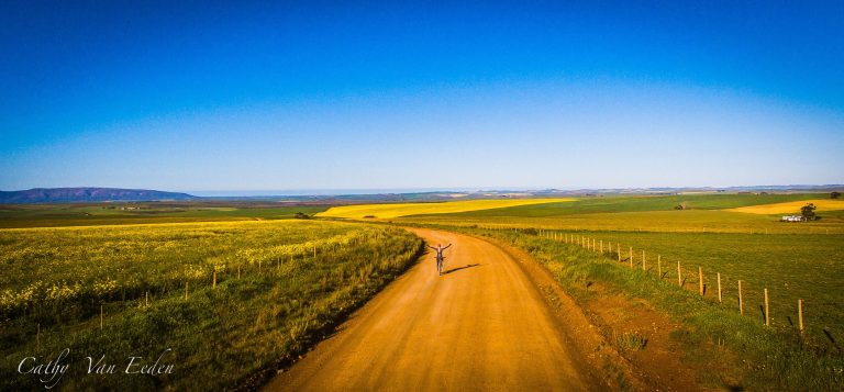 Agri News: Where Positivity Flourishes in Every Harvest