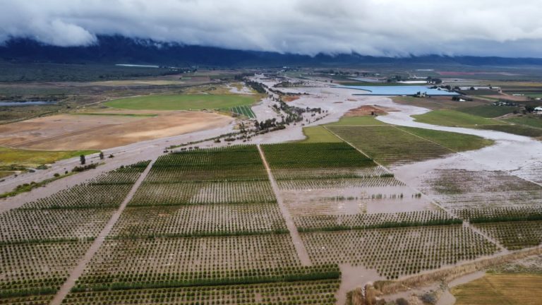 Western Cape Farming Resilience Shines Amid Floods