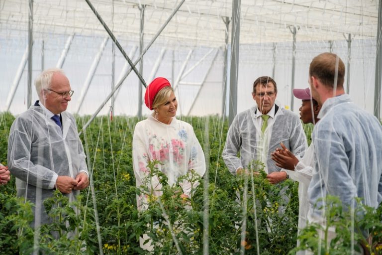 HortiDemoCentre: A Hub for Cutting-Edge Horticultural Technology
