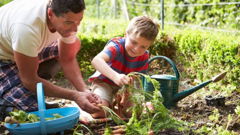 Garden Day 2023 – Your Garden, Your Celebration