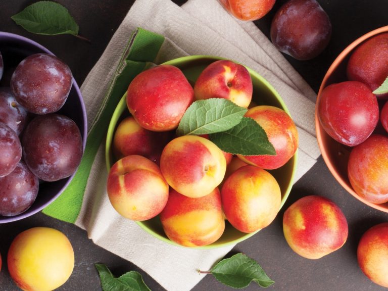 United Exports Anticipates a Promising Stone Fruit Season Ahead