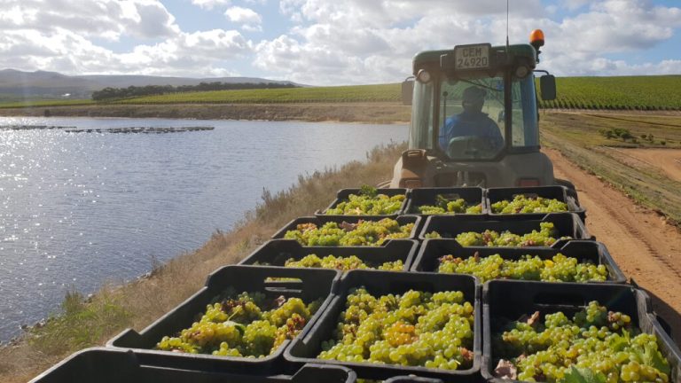 Navigating Challenges in South African Farming