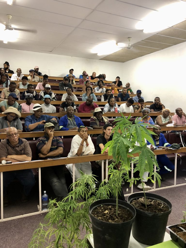 Empowering SAFarmers with a Groundbreaking Hemp Cultivation Training Initiative