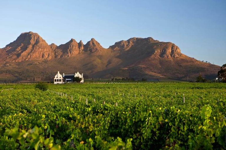 South Africa Wine Summit Sets New Course for Industry’s Future