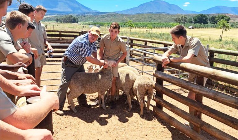 Oakdale se Landbou-leierskap 95 Jaar van Uitnemendheid