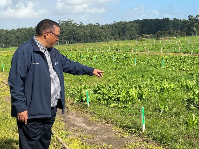 Boosting Dairy Profits through Science at Outeniqua Research Farm