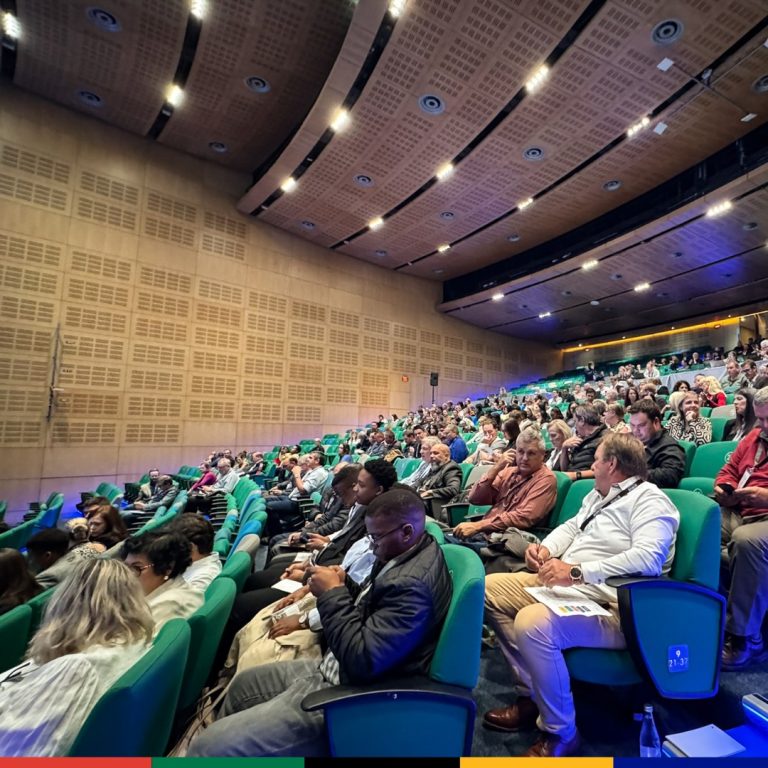 SA Wine Leaders Forge Path for Global Sustainability and Innovation