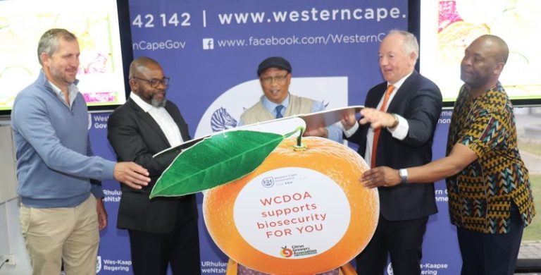 Western Cape Boosts Citrus Exports with R2 Million Investment in Pest Control Innovation