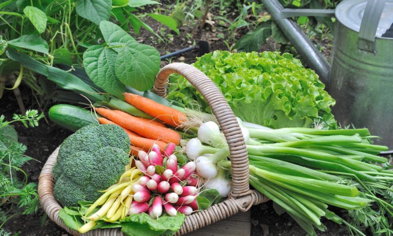 PwC Report Highlights Urgent Need for Technological Innovations to Enhance SA’s Food Security