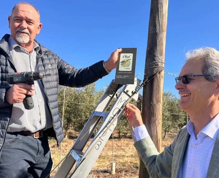Verder Group’s Global Initiative: 2,000 Olive Trees Planted at Mardouw Olive Estate