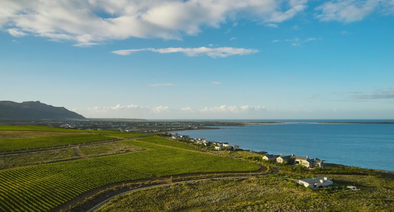 2025 Wine Capitals Awards: Honoring Western Cape’s Best