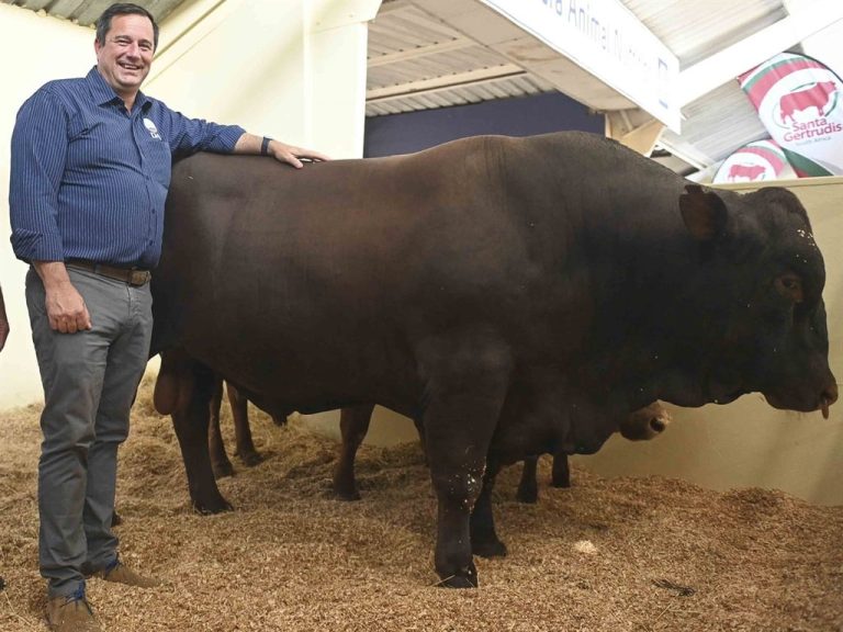 John Steenhuisen Charts New Course for South African Agriculture as Newly Appointed Minister