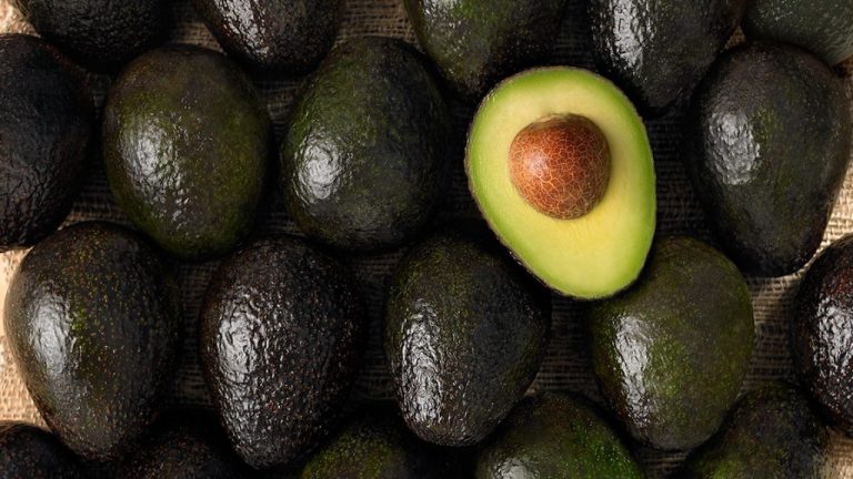 South Africa Celebrates First Avocado Export to Japan