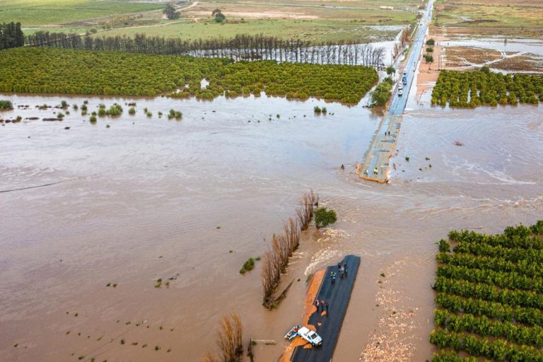 Severe Storms Disrupt Citrus Exports, Cut Off Citrusdal in Western Cape