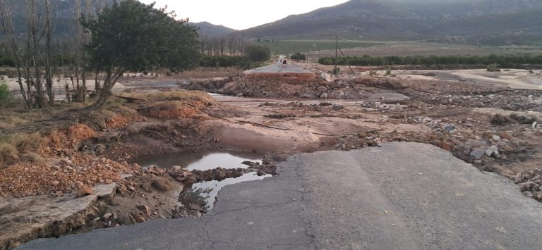 Citrus Exports Resume from Flood-Affected Citrusdal