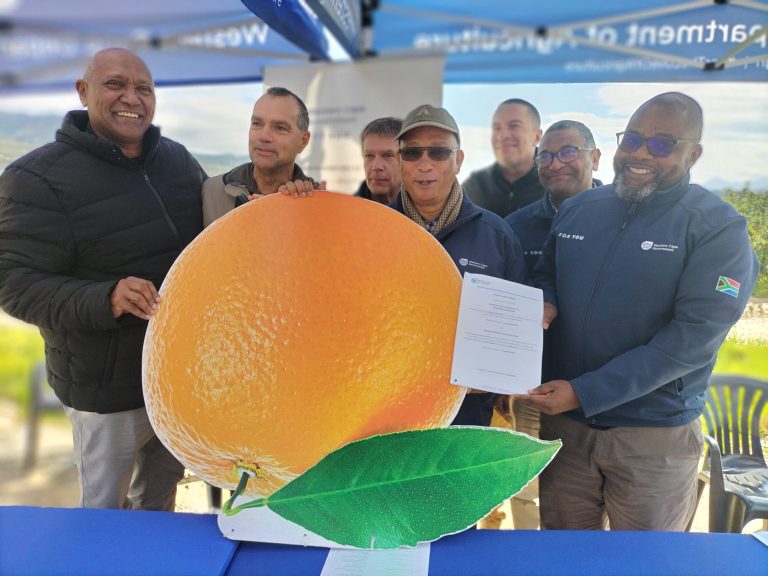 R14.98 Million Allocated to Safeguard Citrusdal Agriculture Against Future Floods