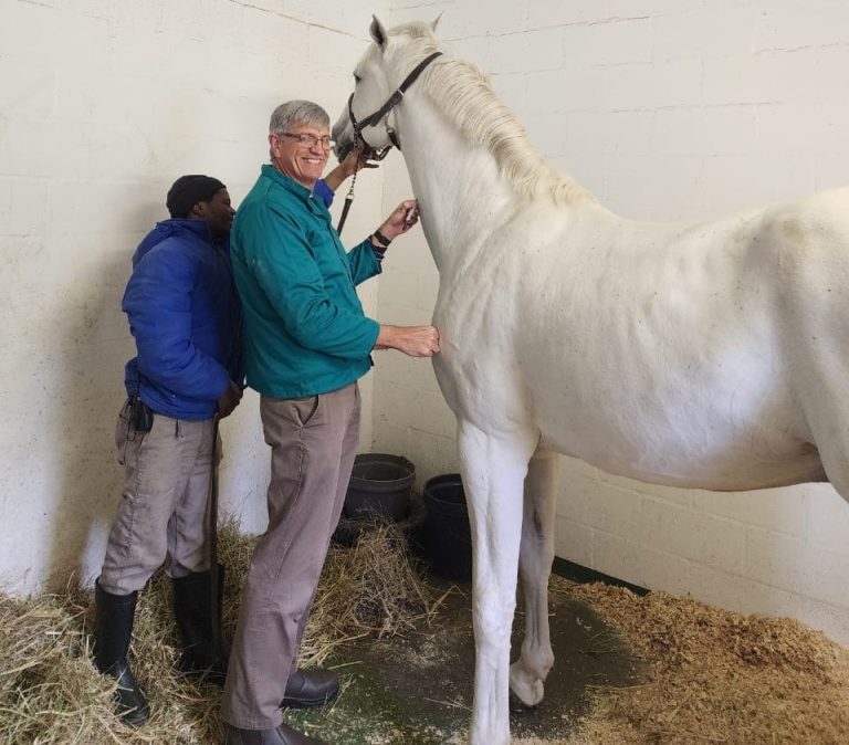 Western Cape Welcomes Resumption of Thoroughbred Horse Exports to EU