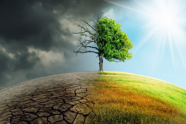 Climate Crisis threatens SA Agriculture and Food Security