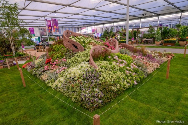 Chelsea Flower Show’s Award-Winning Display Coming to Stanford