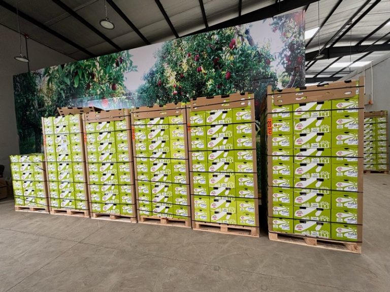 Fruitbox Ltd. Partners with EastPack to Bring Zespri Kiwifruit to East Africa’s Growing Market