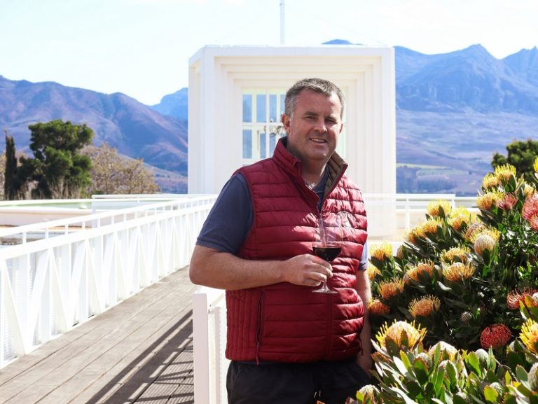 Vergelegen Wine Estate Embraces Innovative Trellis System for New Cabernet Sauvignon Planting