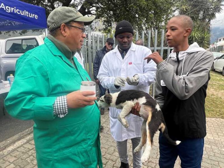 World Rabies Day and Veterinary Week Unite to Combat Rabies and Promote One Health