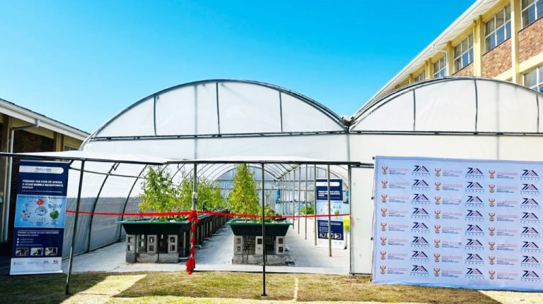 Nanobubble Technology Revolutionises Aquaponics at De Grendel School