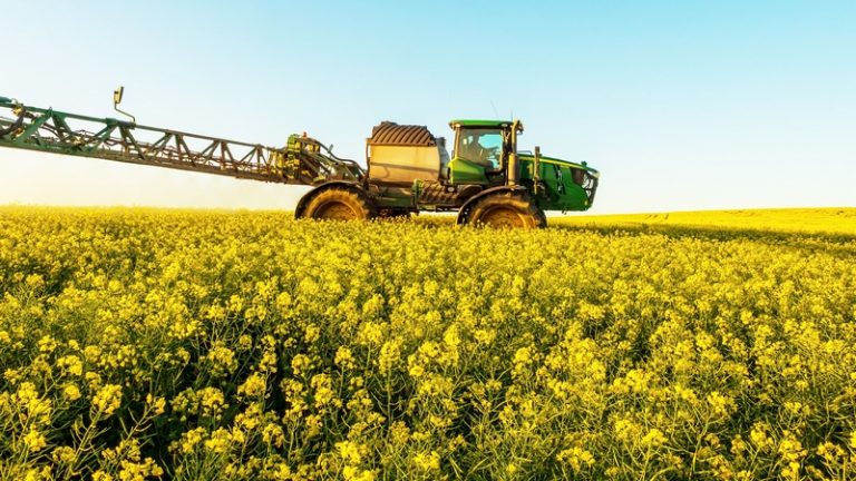 The Western Cape Backbone of South Africa’s Agriculture