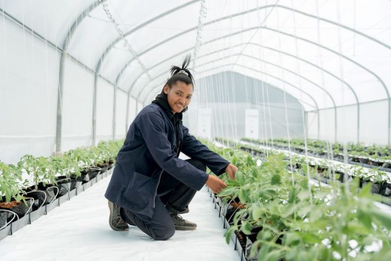 Vegtech Netafim Donates Hydroponic Greenhouse to Boost Food Security