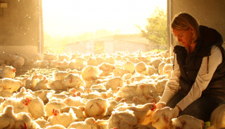 Western Cape Vet’s Week 2024 Champions Biosecurity and Animal Health