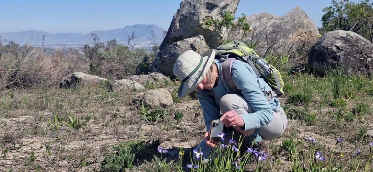 Nature and Wine Unite at Bottelary Hills During Garden Town Stellenbosch