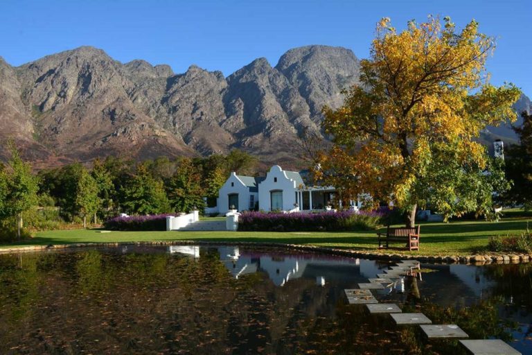 Franschhoek Open Garden Festival 2024: A Celebration of Horticultural Beauty