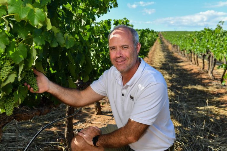 Van Loveren Acquires Survivor Brand, Strengthens Premium Wine Market Presence
