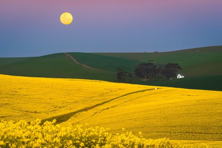 AFGRI kondig trots aan: Die Wenner van die Mooiste Kaap Fotokompetisie!