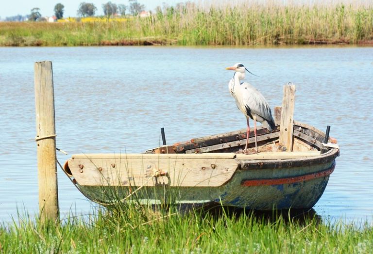 Bergrivier: A Haven for Eco-Tourism and Adventure
