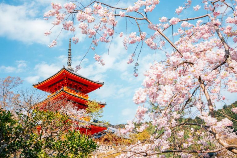Experience Japan in April 2025 Full Bloom with TE Tours