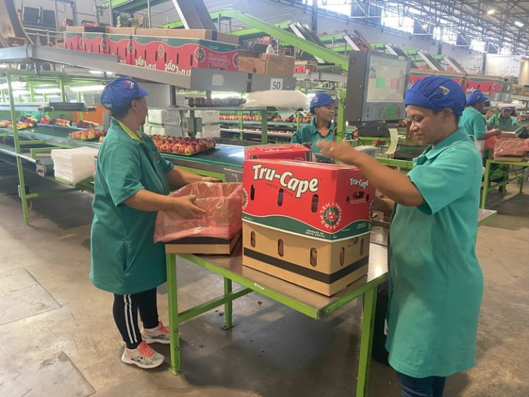 Two-a-Day Becomes South Africa’s First Agribusiness Certified as a Top Employer