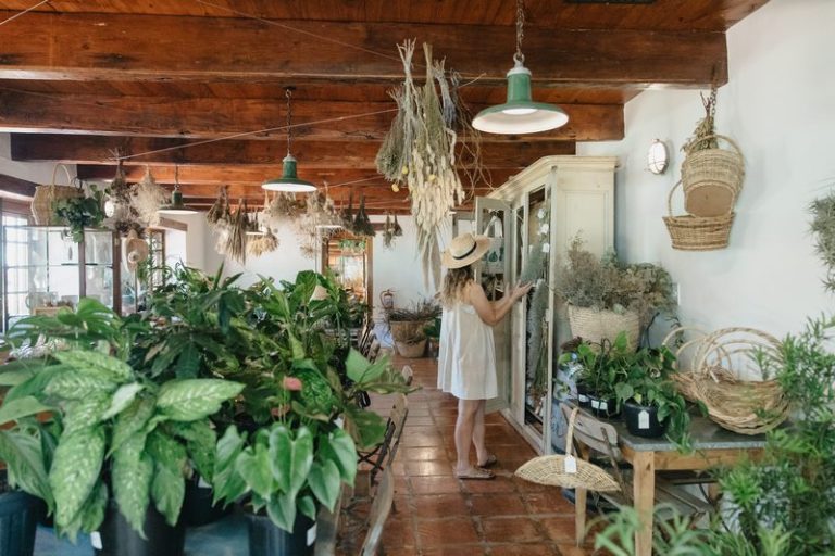 Discover Spier’s Soil Room: Farming with a Regenerative Twist