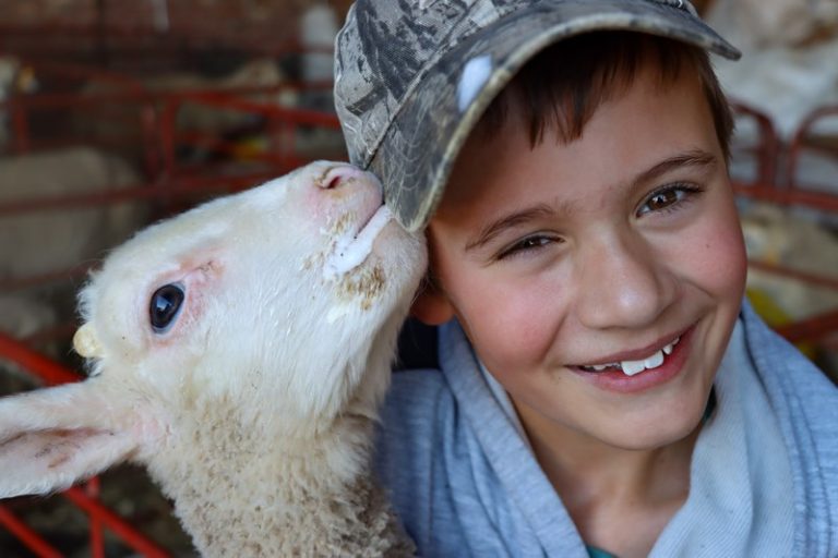 Santam Agriculture & NWKV Launch 2025 Photo Competition: Capture ‘Wool in Action’ and Win!