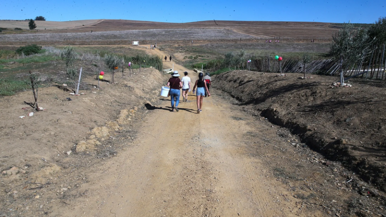 South Africa’s Agricultural Evolution: Growth, Challenges, and Future Prospects