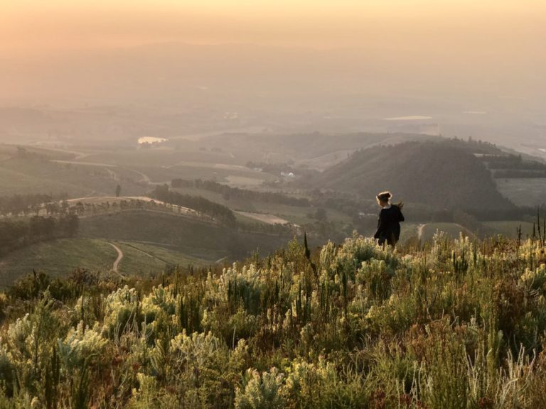 Integrating Fynbos and Viticulture: Delheim’s Sustainable Approach to Farming