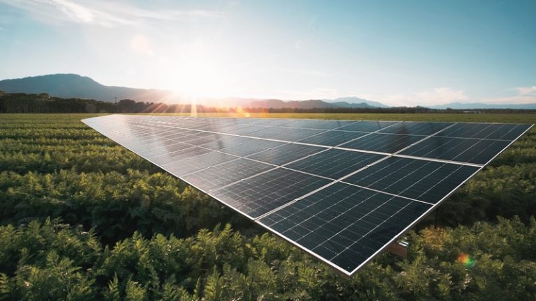 GreenSun Empowers SA Farmers with Solar Solutions: Reliable Power, Real Savings