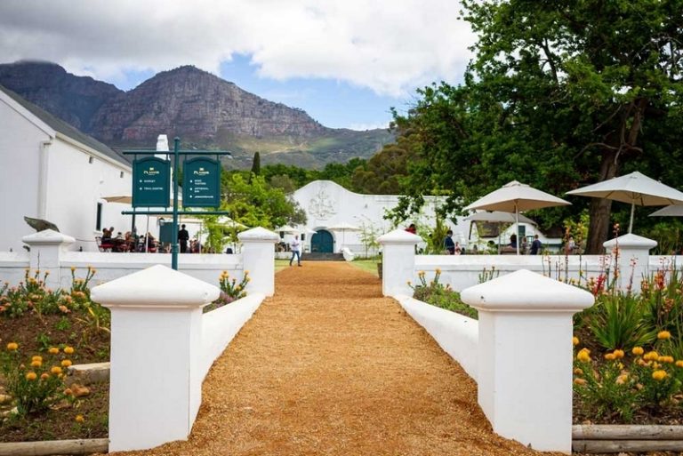Simonsberg Wine Festival 2025: A Celebration of South Africa’s Finest Wines