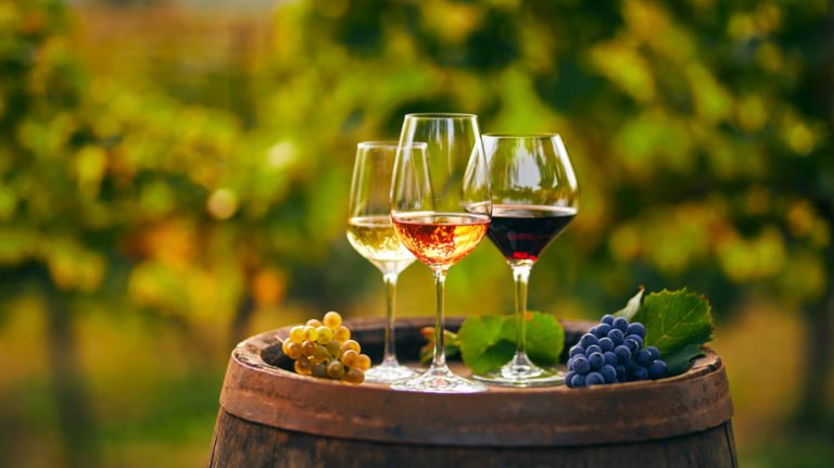 South Africa Wine Raises Concern Over New Tax Hike on Industry