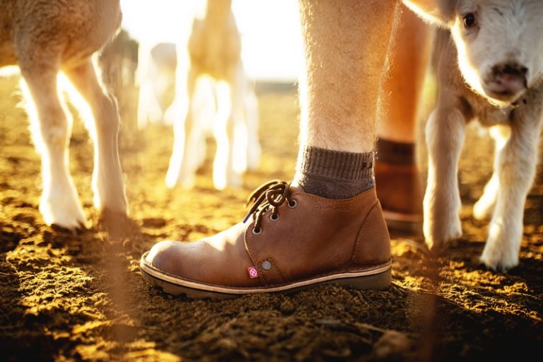 Bummel Shoes: Durable Leather Footwear Crafted for South Africa’s Hardworking Farmers