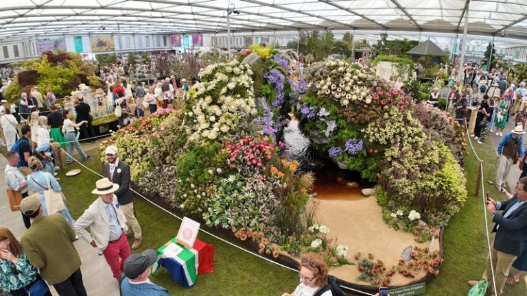 Gold-Winning Fynbos Exhibit to Bloom in Stanford