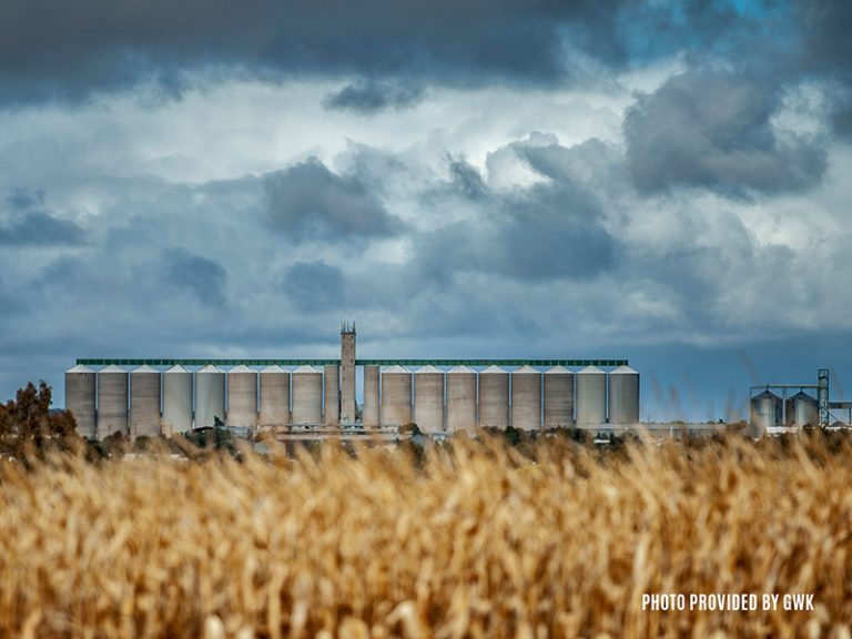 Grain SA Welcomes Revocation of Leaf Services Designation