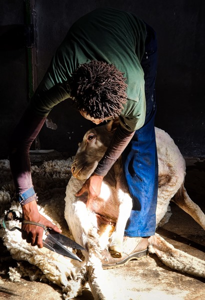 Santam Landbou/NWKV-fotokompetisie: Die wenners, die beelde – en die stories daaragter