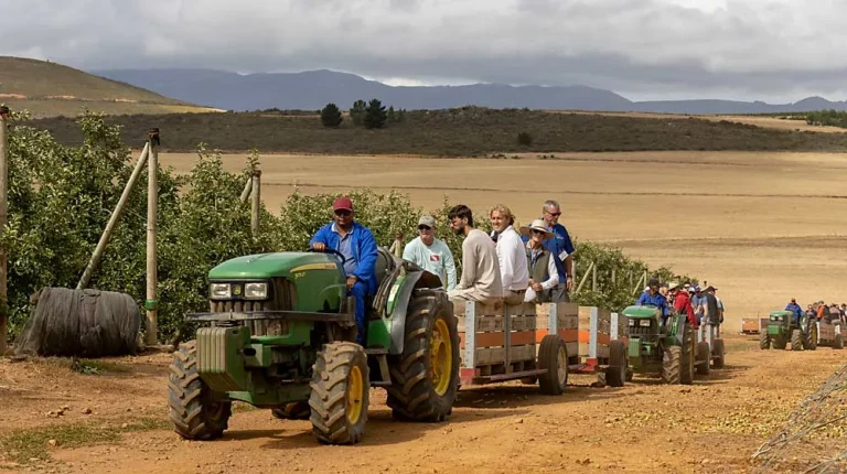 South Africa’s Agricultural Sector Leads Growth Despite Economic Headwinds